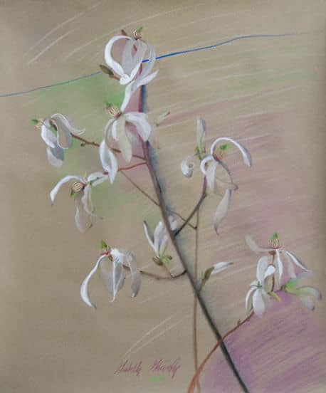 Obraz Izabelli Kierskiej pt. 'Magnolia' - malarstwo z kwiatem magnolii