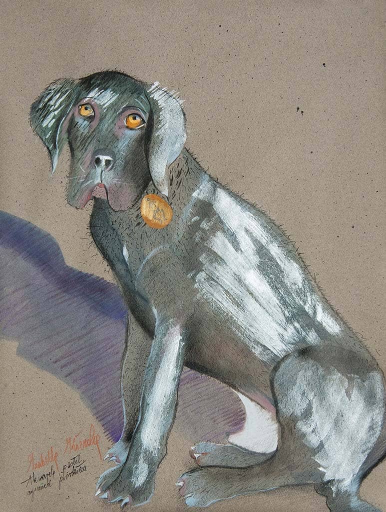 Obraz Izabelli Kierskiej pt. 'Pies' - portret psa