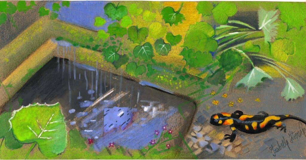 Obraz Izabelli Kierskiej pt. 'Salamandra' - malarstwo z motywem salamandry